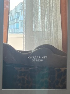 Жиголо Караганды Анкета №374636 Фотография №3787423