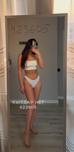 Проститутка Алматы Анкета №423605 Фотография №3787776