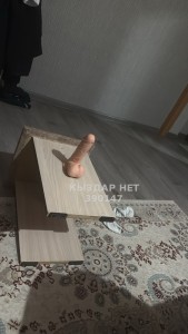 Транс Павлодара Транс№390147 Ева есть видео на продажу Фотография №3842947