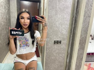 Транс Шымкента Транс№477955 Айхана-Проездом Фотография №3844160
