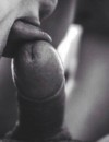 Фотография №3849831